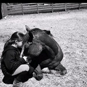 Meet your Posher, Dani